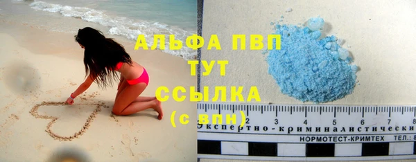 сатива Аркадак