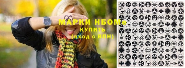 сатива Аркадак