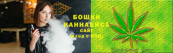 сатива Аркадак