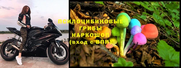 сатива Аркадак