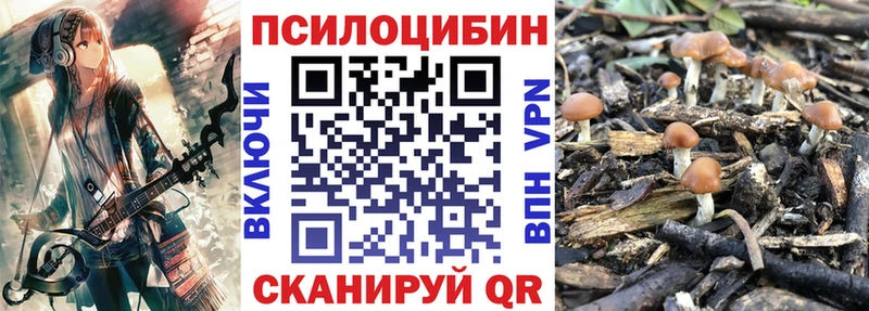 дарнет шоп  hydra ССЫЛКА  Псилоцибиновые грибы Cubensis  Славянск-на-Кубани 